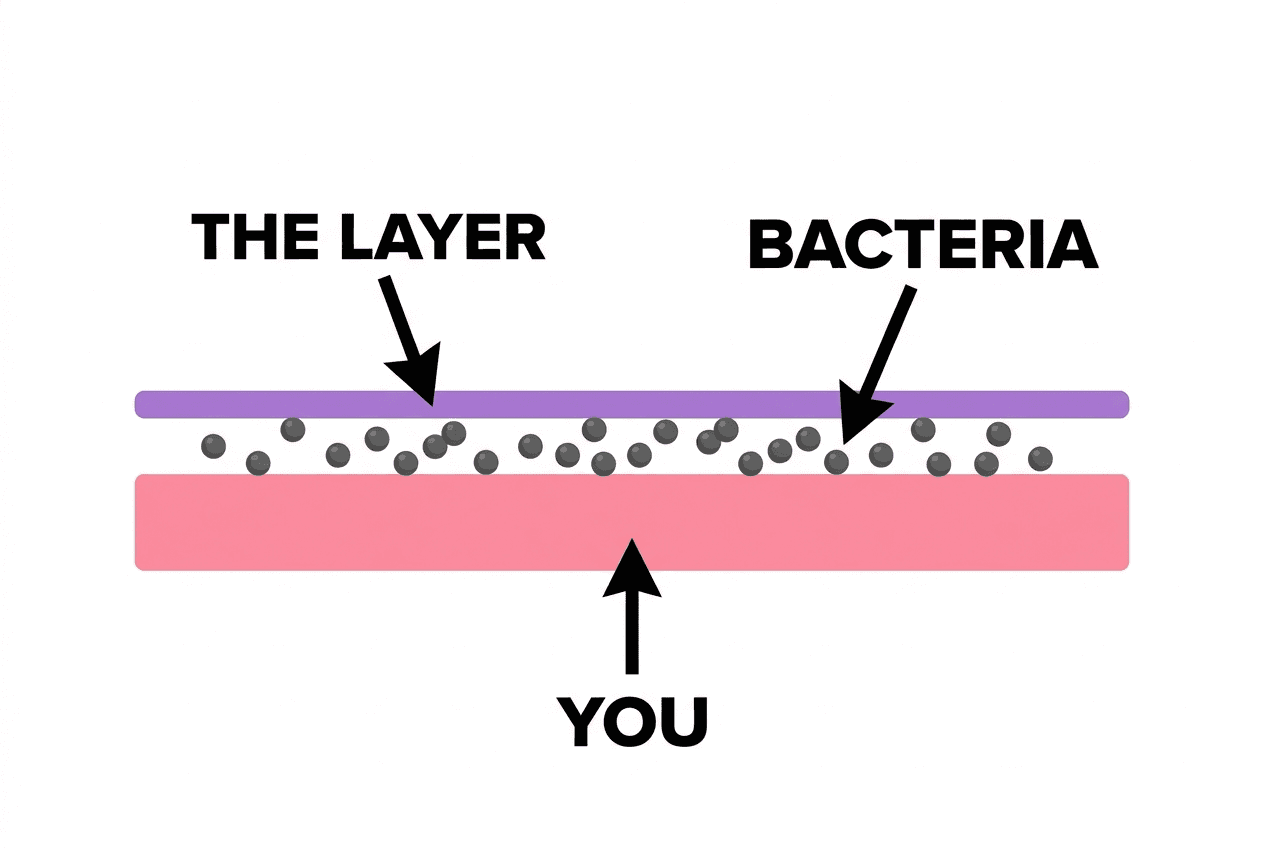Diagram showing the biofilm layer sitting between vaginal tissue and the bacteria living inside it